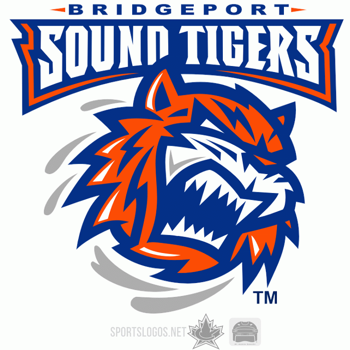 Bridgeport Sound Tigers 2010-Pres Primary Logo iron on transfers for clothing
